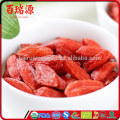 Goji berry natue que sont les baies de goji utilisées pour bacche di goji lycium barbarum